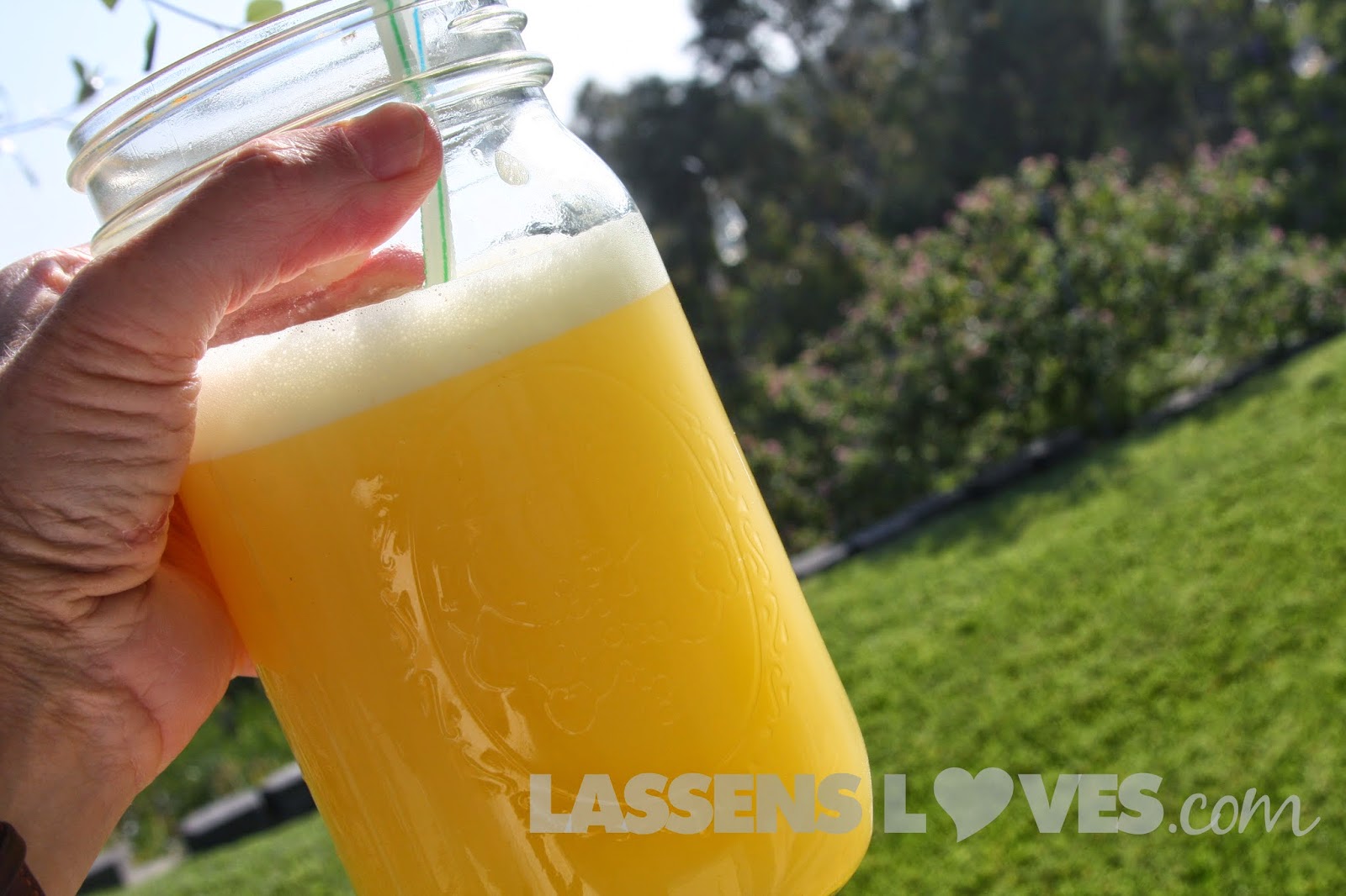 Replace Your Electrolytes With Your Own Drink! LASSENS