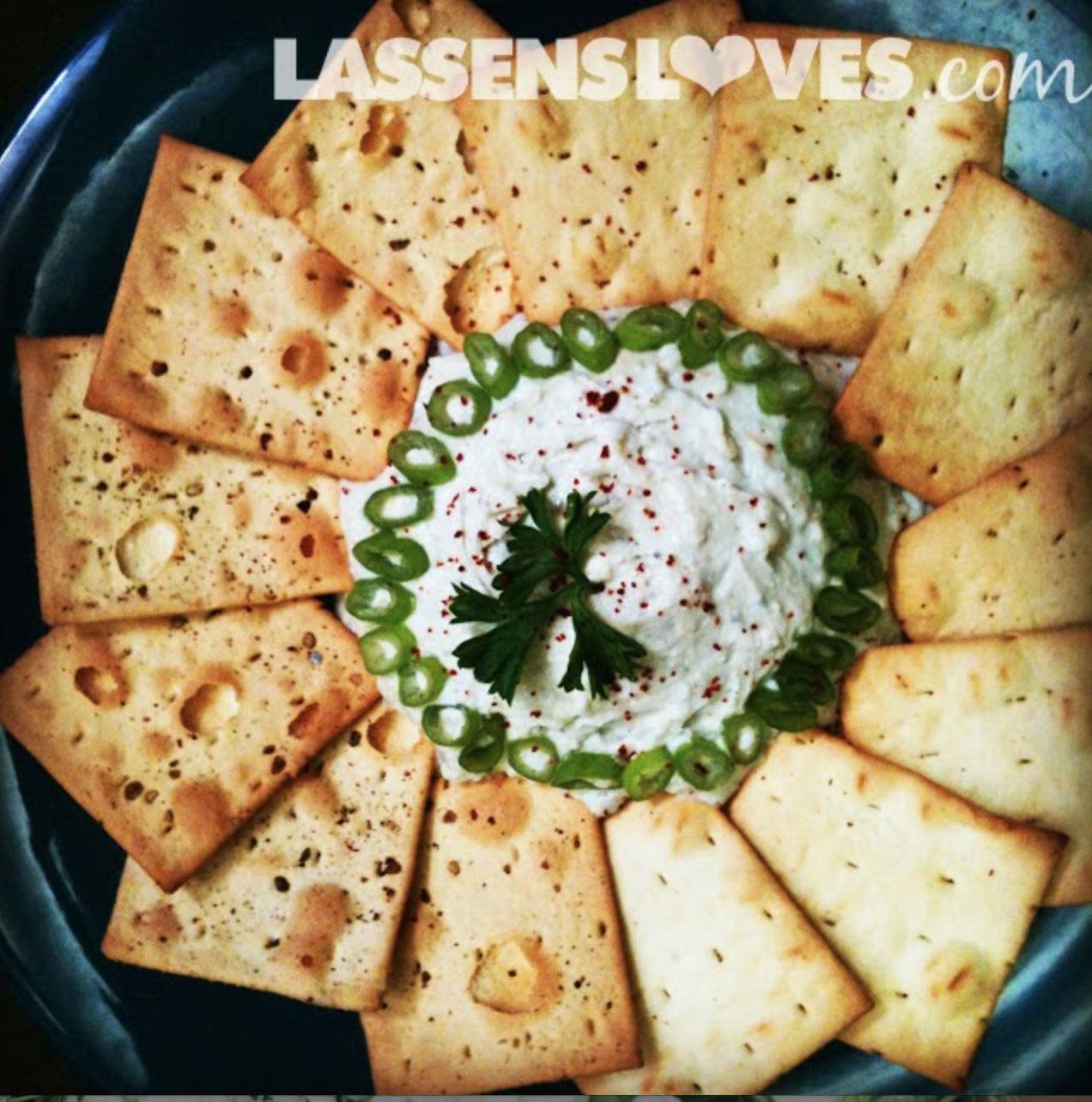 Goat Milk Blue Cheese & Green Onion Dip + my inane fear of