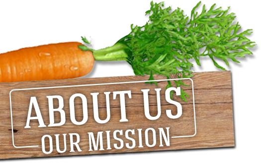 About Us Plate for home page Images