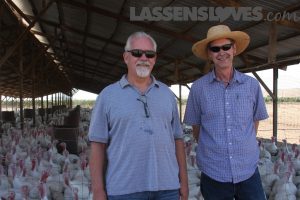 lassensloves, Lassen's, Lassens, Sheltons turkey, thanksgiving turkey, natural turkey, why buy a natural turkey Sheltons+turkey, thanksgiving+turkey, natural+turkey, why+buy+a+natural+turkey