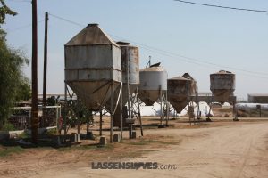 lassensloves, Lassen's, Lassens, Sheltons turkey, thanksgiving turkey, natural turkey, why buy a natural turkey Sheltons+turkey, thanksgiving+turkey, natural+turkey, why+buy+a+natural+turkey