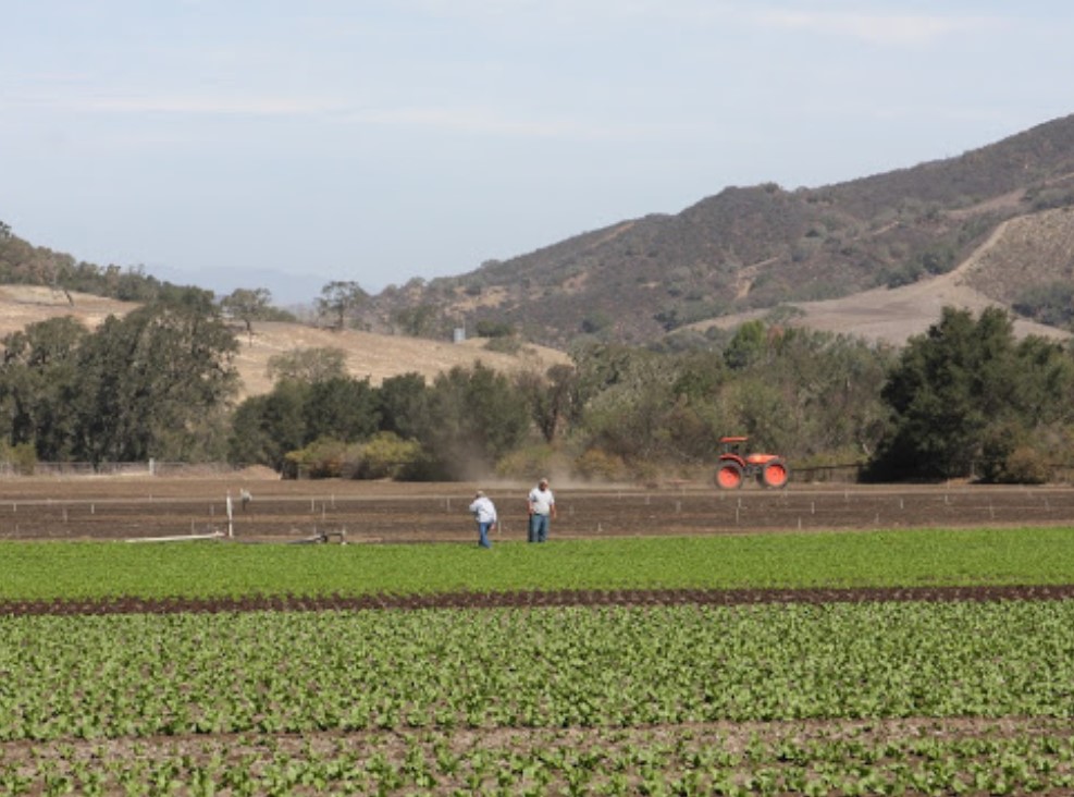 Lassens, Lassen's, Lassens Natural Foods and Vitamins, Lassens Natural Foods, Organic farms, local farmers, Support local farms, Nojoqui Farms