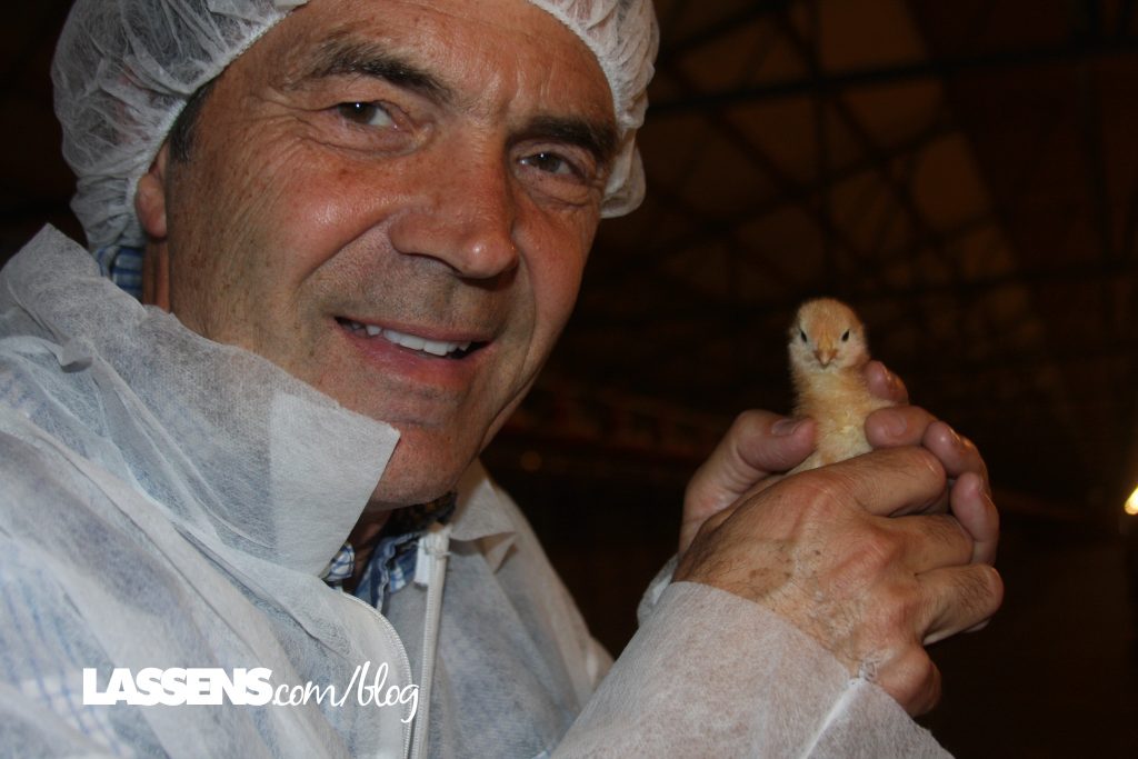 Chino+Valley+Ranchers+Eggs, Organic+Eggs, Healthy+Eggs, Cage+Free+Eggs,