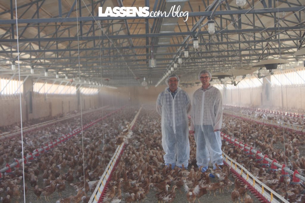 Chino+Valley+Ranchers+Eggs, Organic+Eggs, Healthy+Eggs, Cage+Free+Eggs,