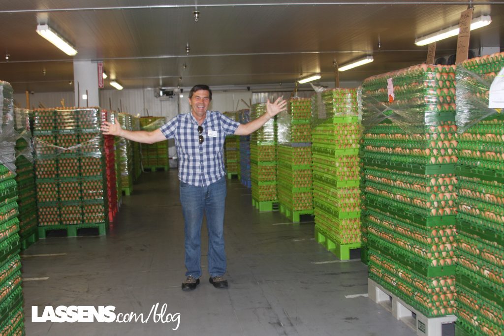 Chino+Valley+Ranchers+Eggs, Organic+Eggs, Healthy+Eggs, Cage+Free+Eggs,