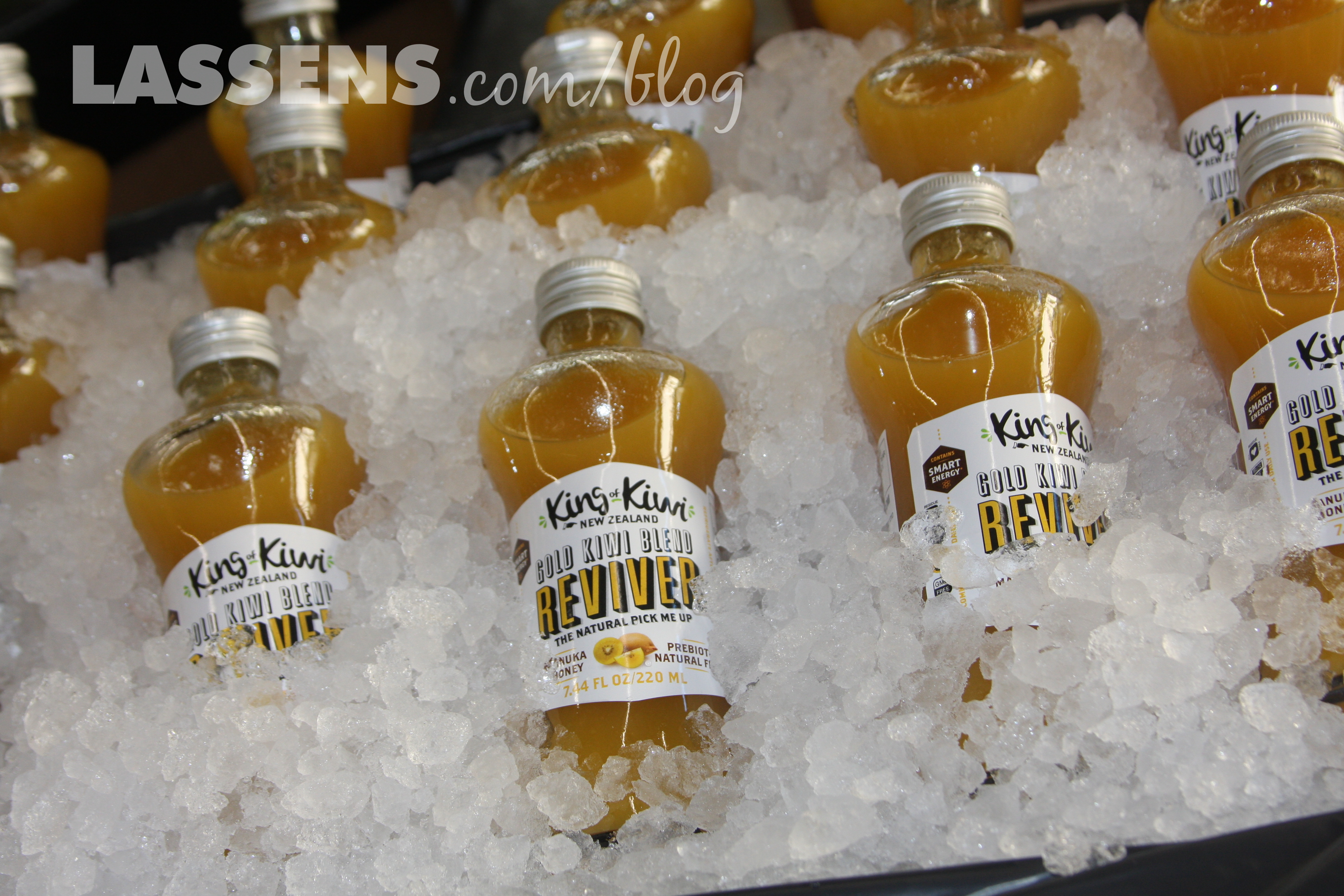 Kiwi to the Rescue! | LASSENS