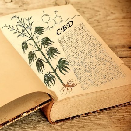 cbd+oil, project+cbd, What+is+cbd,