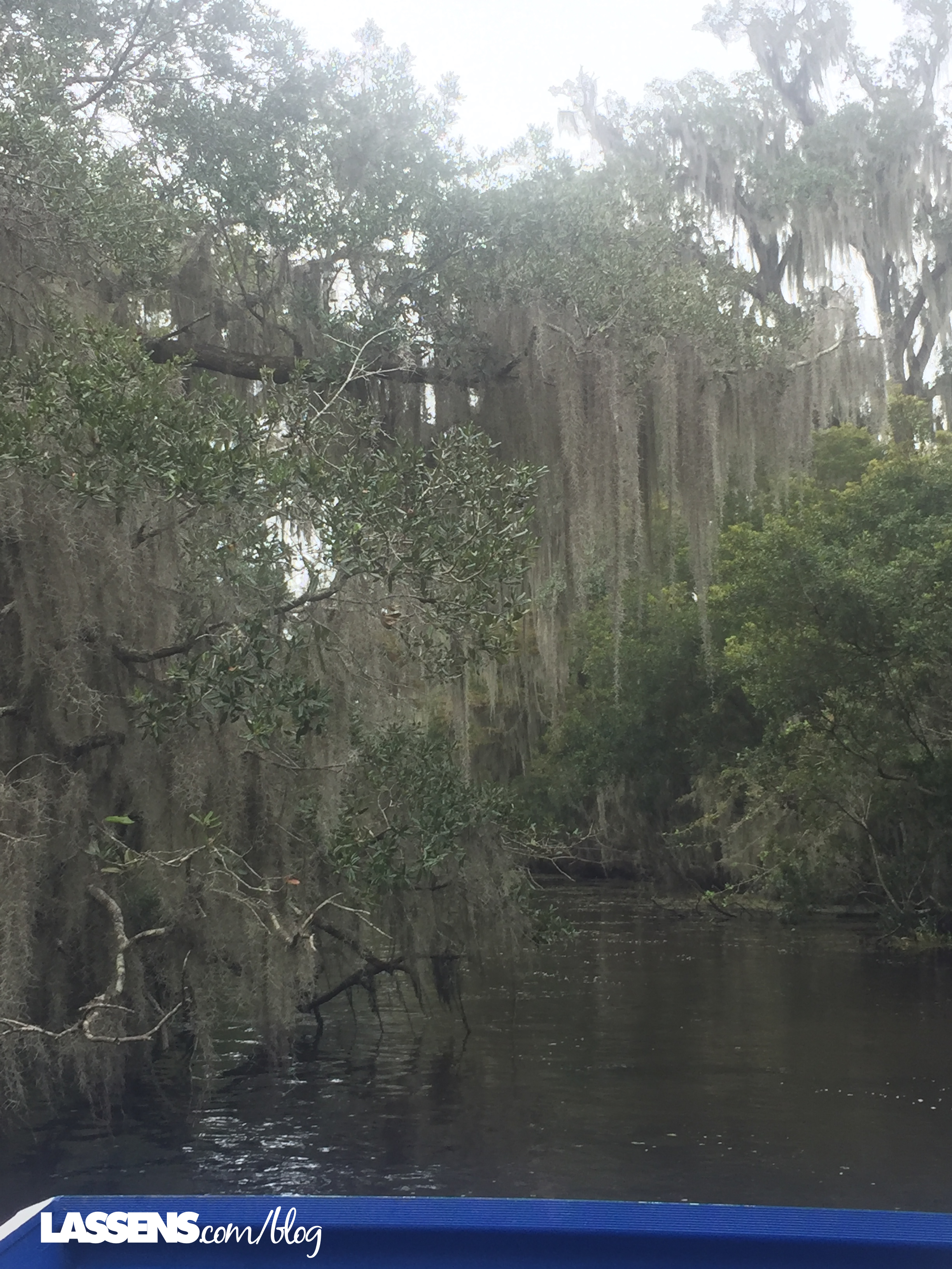 evamor+water, alkaline+water, New+Orleans